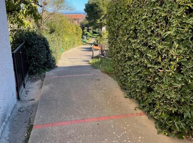 Collioure, Bel De 40m2 Avec Balcon Et Parking كولِيورْ