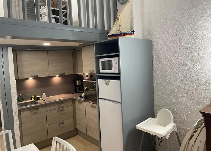 Apartment Collioure, Bel De 40m2 Avec Balcon Et Parking Collioure